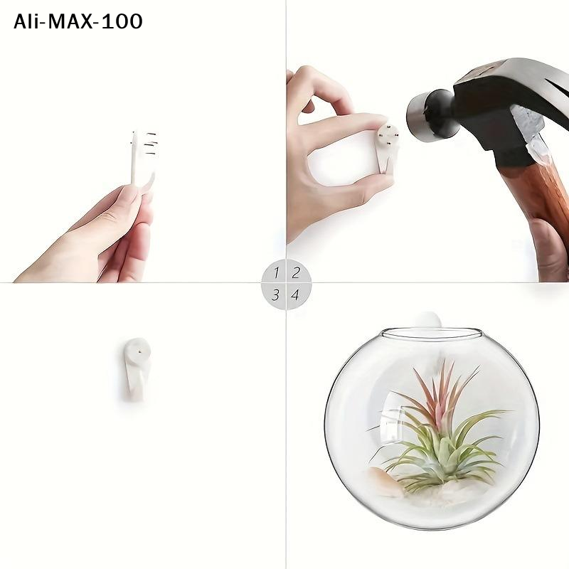 【MA3】Wall Hanging Glass Plant  - Propagation Station Vase บทวิจารณ์และราคา