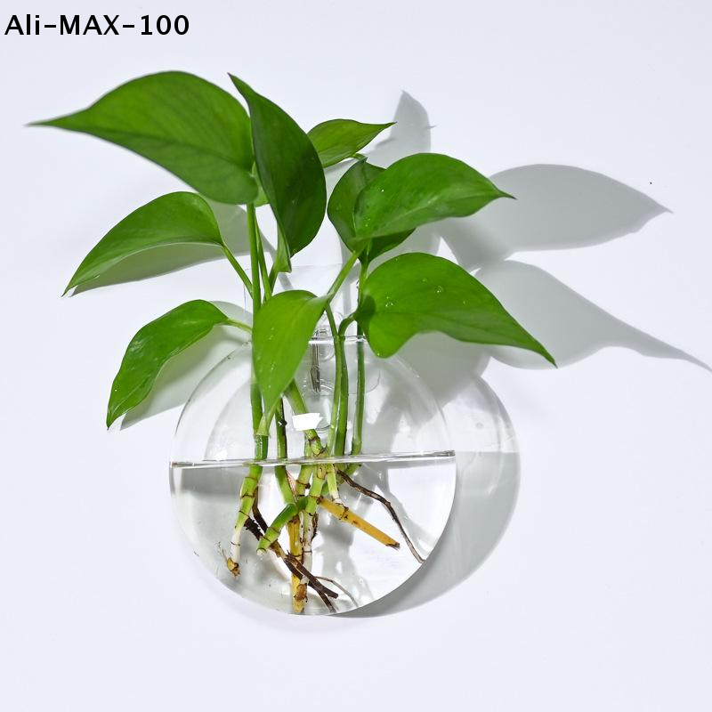 【MA3】Wall Hanging Glass Plant  - Propagation Station Vase บทวิจารณ์และราคา