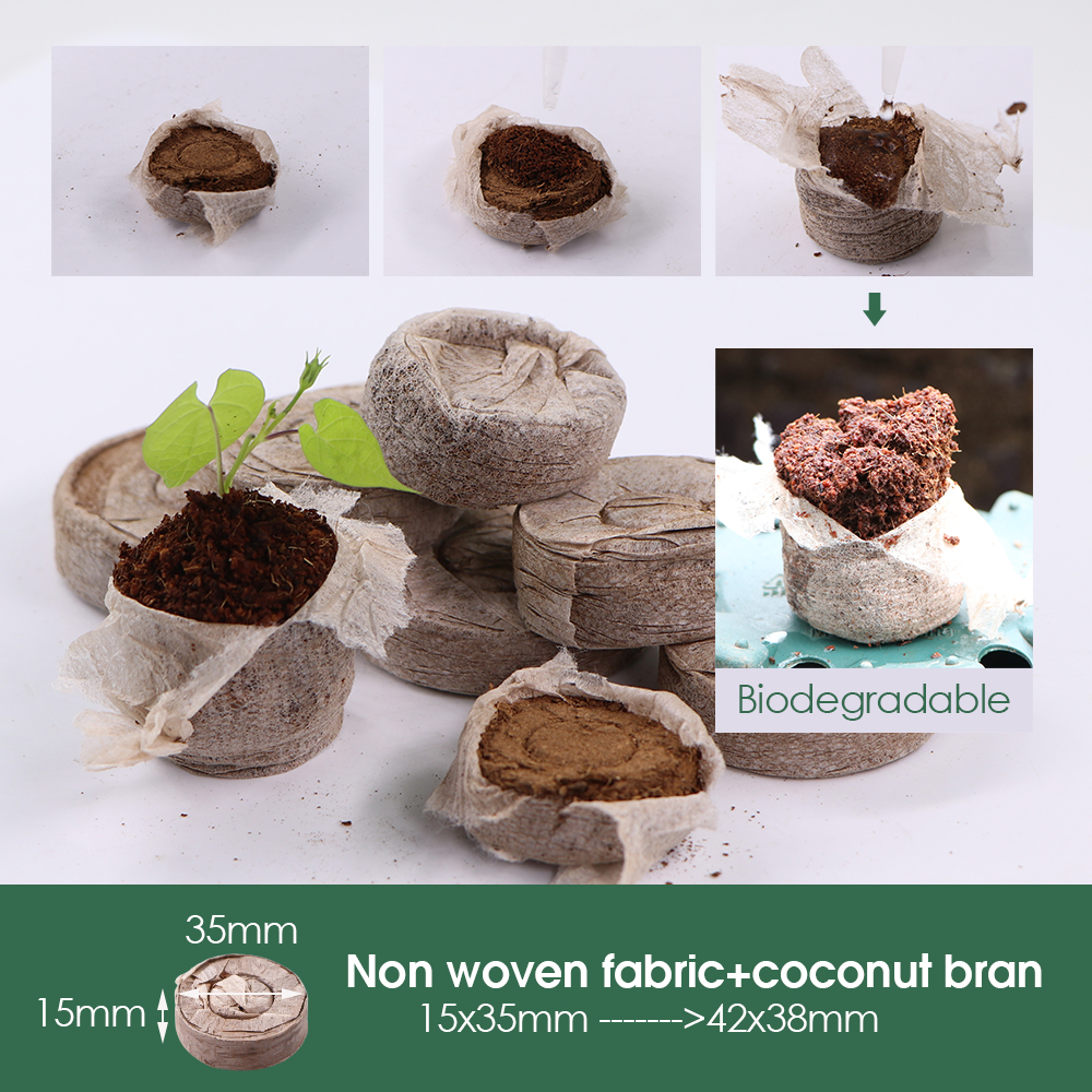 10 Cells Seedling Trays Germin - Peat Pellet Tray บทวิจารณ์และราคา