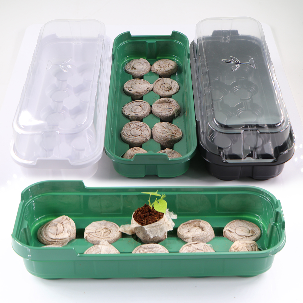 10 Cells Seedling Trays Germin - Peat Pellet Tray บทวิจารณ์และราคา