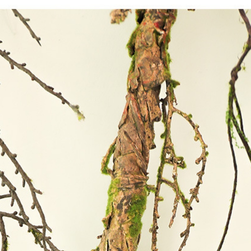 New Withered Vines Artificial  - Sphagnum Moss Dry บทวิจารณ์และราคา