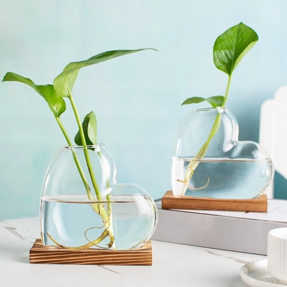 Transparent Hydroponic Glass V - Propagation Station Vase บทวิจารณ์และราคา