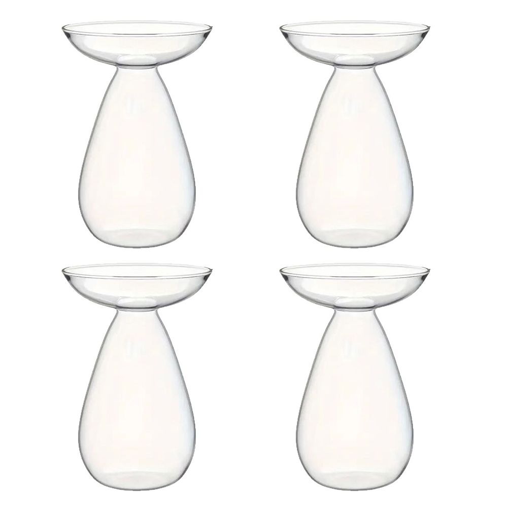 Avocado Seed Starter Vase Tran - Propagation Station Vase บทวิจารณ์และราคา