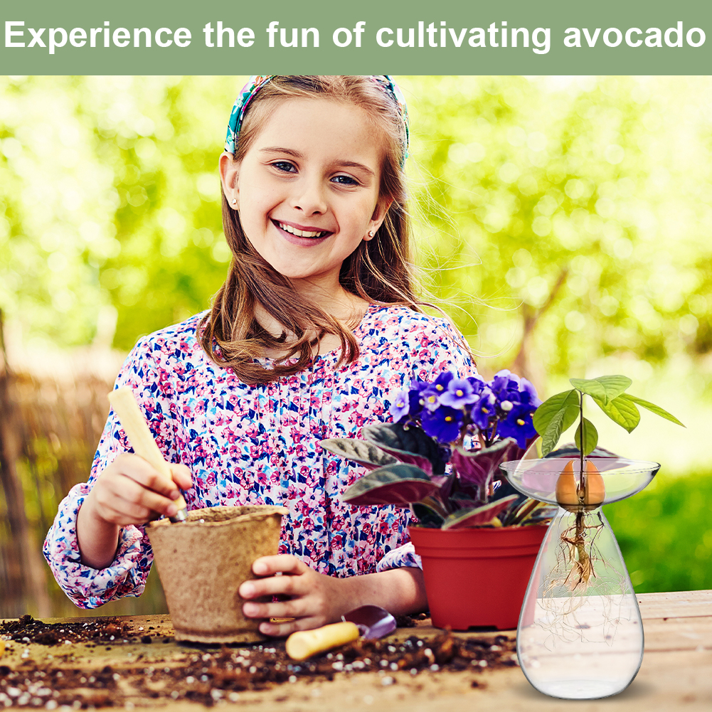 Avocado Seed Starter Vase Tran - Propagation Station Vase บทวิจารณ์และราคา