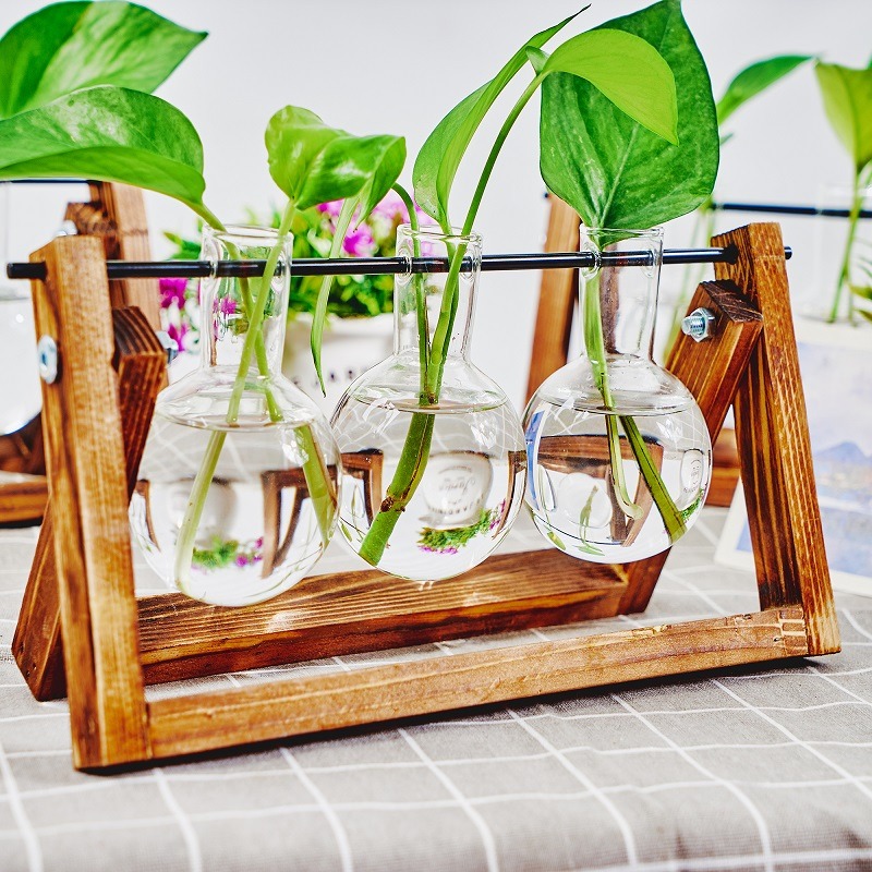 Tabletop Glass Planter Propaga - Propagation Station Vase บทวิจารณ์และราคา