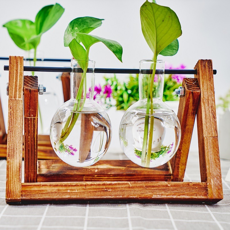 Tabletop Glass Planter Propaga - Propagation Station Vase บทวิจารณ์และราคา