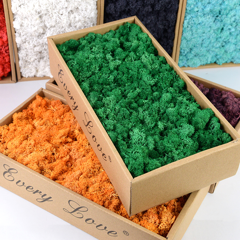 40/20g Artificial Moss Grass G - Sphagnum Moss Dry บทวิจารณ์และราคา