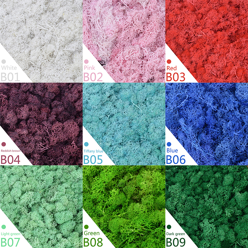 40/20g Artificial Moss Grass G - Sphagnum Moss Dry บทวิจารณ์และราคา