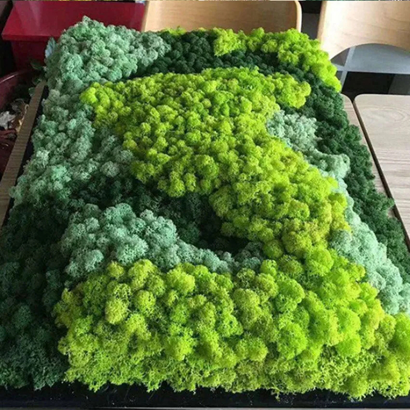 40/20g Artificial Moss Grass G - Sphagnum Moss Dry บทวิจารณ์และราคา