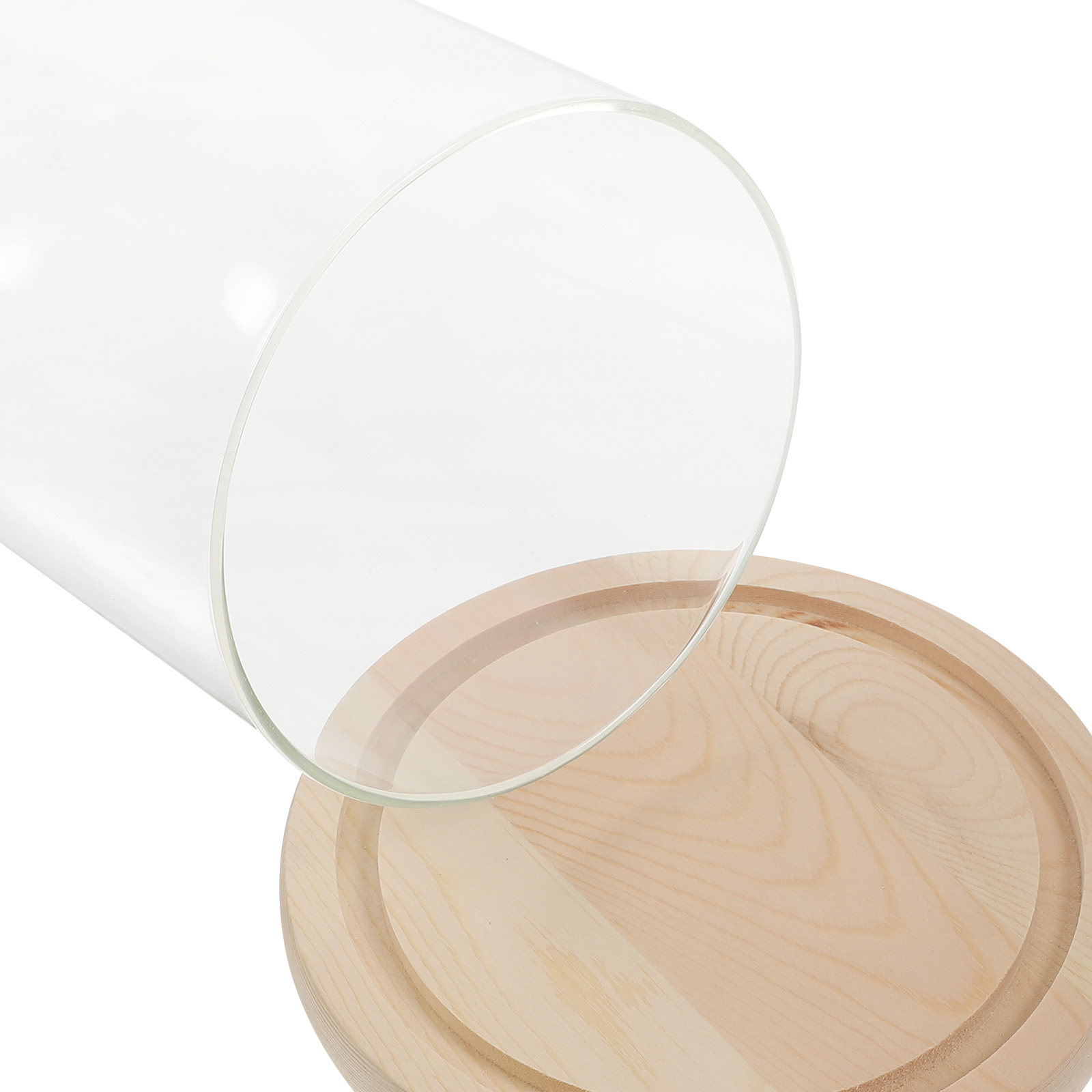 Glass Dome Display Case with B - Plastic Dome Clear บทวิจารณ์และราคา