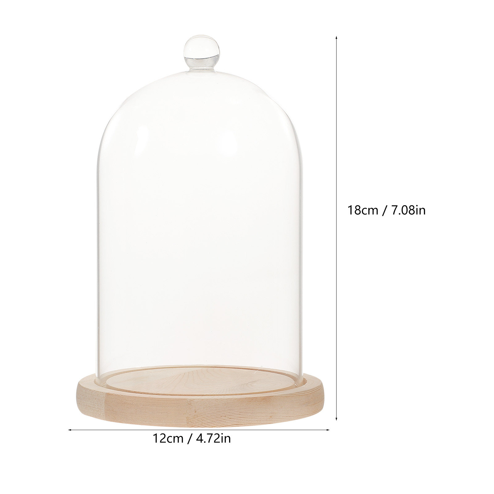 Glass Dome Display Case with B - Plastic Dome Clear บทวิจารณ์และราคา
