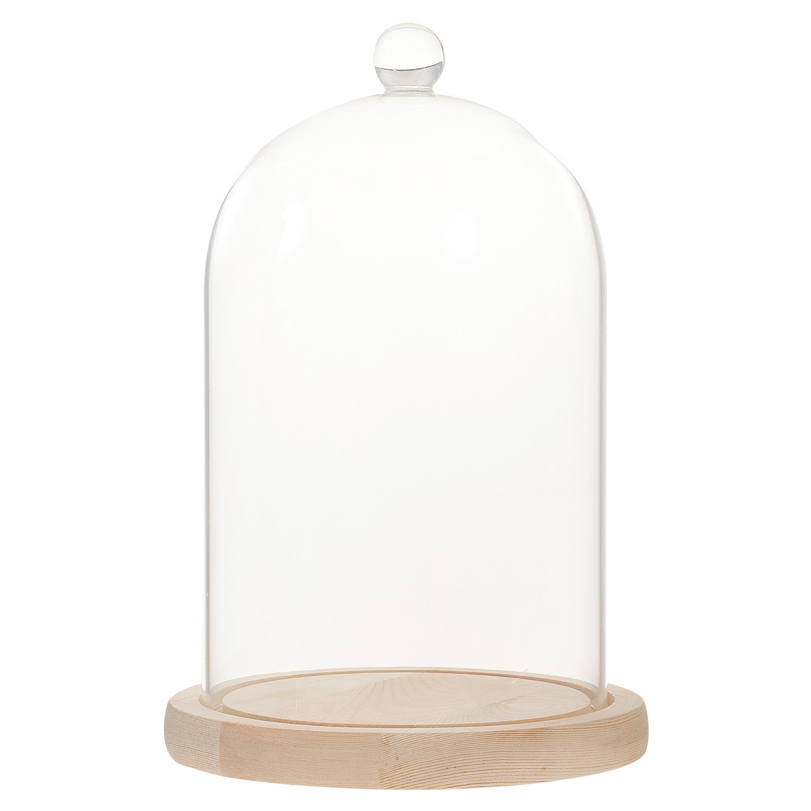 Glass Dome Display Case with B - Plastic Dome Clear บทวิจารณ์และราคา